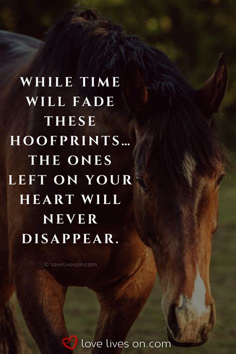 dealing with the loss of a horse